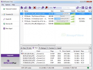 BitTorrent